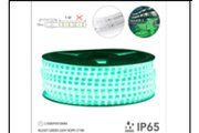 RL2301 GREEN(2835A )220V ROPE LT NB