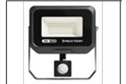 100W C3 SENSOR FLOOD LT SG