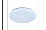 SA CE102 24W Ø300MM CEILING LT
