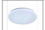 SA CE106 24W Ø300MM CEILING LT