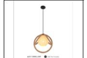 5011 DINING LAMP? FD-DZ9? INCLUDED
