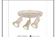 DL6402/3 FW CEILING LT INCLUDED