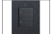S6-102/2 2 LEVER 2 WAY(2X4)