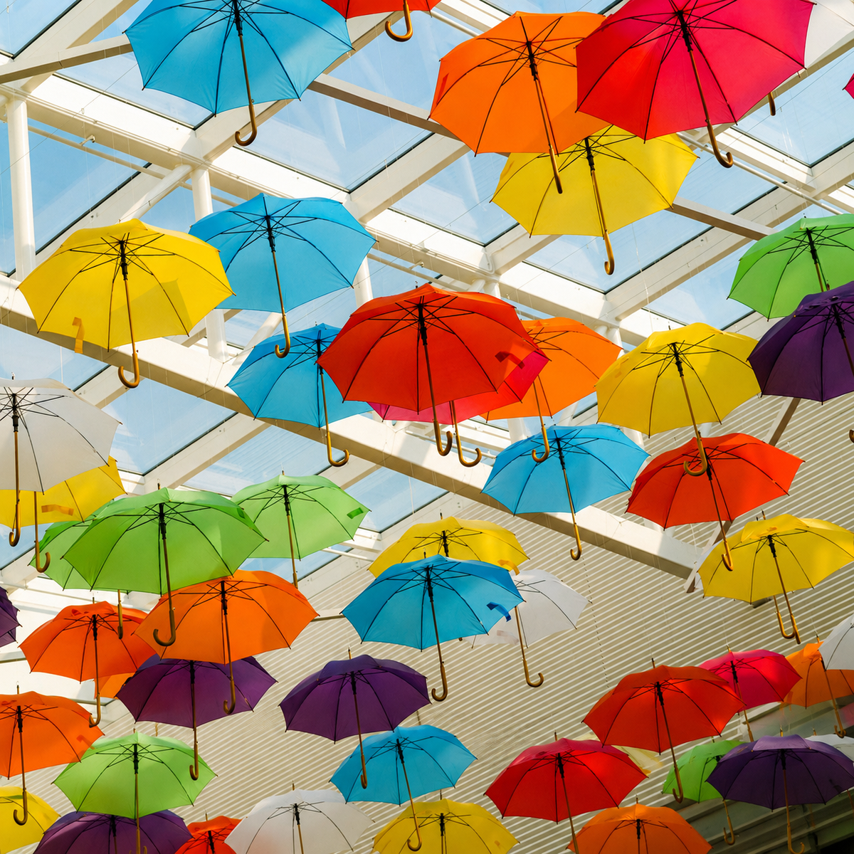 UMBRELLAS