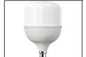 48W STICK BULB B22 WH
