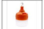 9907 EMERGENCY BULB LIGHT?T-30 W?