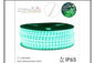 RL2301 GREEN(2835A )220V ROPE LT NB SG