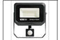 100W C3 SENSOR FLOOD LT SG