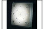 CE307 CEILING LT