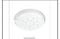 CE207/R420 CEILING LT INCLUDED