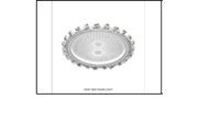 CE047 60W CEILING LIGHT