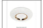 CE048 GD 84W Ø450MM CEILING LIGHT