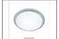 CE063 48W CEILING LT