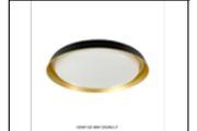 CE069 GD 48W Ø350MM CEILING LT