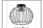5036 CEILING LAMP INCLUDED