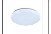SA CE101 24W Ø300MM CEILING LT