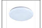 SA CE101 24W Ø300MM CEILING LT
