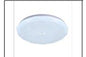 SA CE102 24W Ø300MM CEILING LT