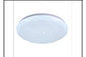 SA CE102 30W Ø350MM CEILING LT