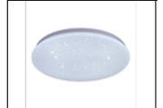 SA CE112 24W Ø300MM CEILING LT
