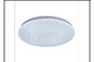 SA CE112 24W Ø300MM CEILING LT