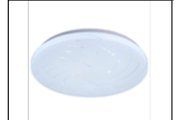 SA CE105 24W Ø300MM CEILING LT