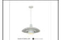 DL6088 WT DINING LAMP INCLUDED