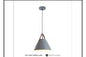 6013 GREY DINING LAMP?7488-270 Grey INCLUDED )