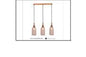 6015/3S ROSE DINING LAMP INCLUDED
