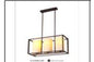 D2-30 DINING LAMP INCLUDED