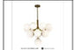 DL6125/13 GD DINING LAMP INCLUDED