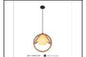 5011 DINING LAMP? FD-DZ9? INCLUDED