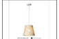 5016 WH DINING LAMP(FD-3015-1? INCLUDED DZ001))