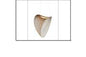 5027 DINING LAMP