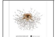5635/500 GD CEILING LIGHT INCLUDED