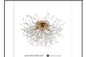 5635/500 GD CEILING LIGHT INCLUDED