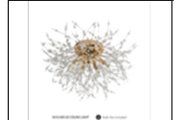 5635/600 GD CEILING LIGHT INCLUDED