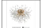 5635/600 GD CEILING LIGHT INCLUDED