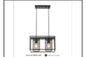 6065/2 BK DINING LAMP INCLUDED
