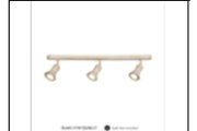 DL6401/3 FW CEILING LT INCLUDED