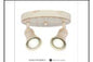 DL6402/2 FW CEILING LT INCLUDED
