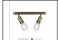 DL6403/2 AB CEILING LT INCLUDED