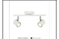 DL6409/2 WT CEILING LT INCLUDED