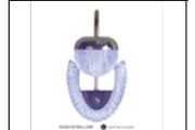 DL6423 GD WALL LAMP
