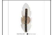 DL6424 WALL LAMP