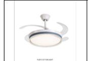 FL2013 GY FAN LIGHT