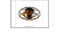FL2101 WOOD FAN LIGHT
