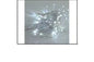 4003 8M FAIRY LIGHT WH