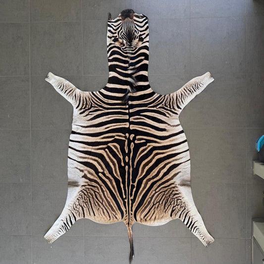Zebra 29922/ZB1