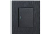S6-101/1 1 LEVER 1 WAY(2X4)